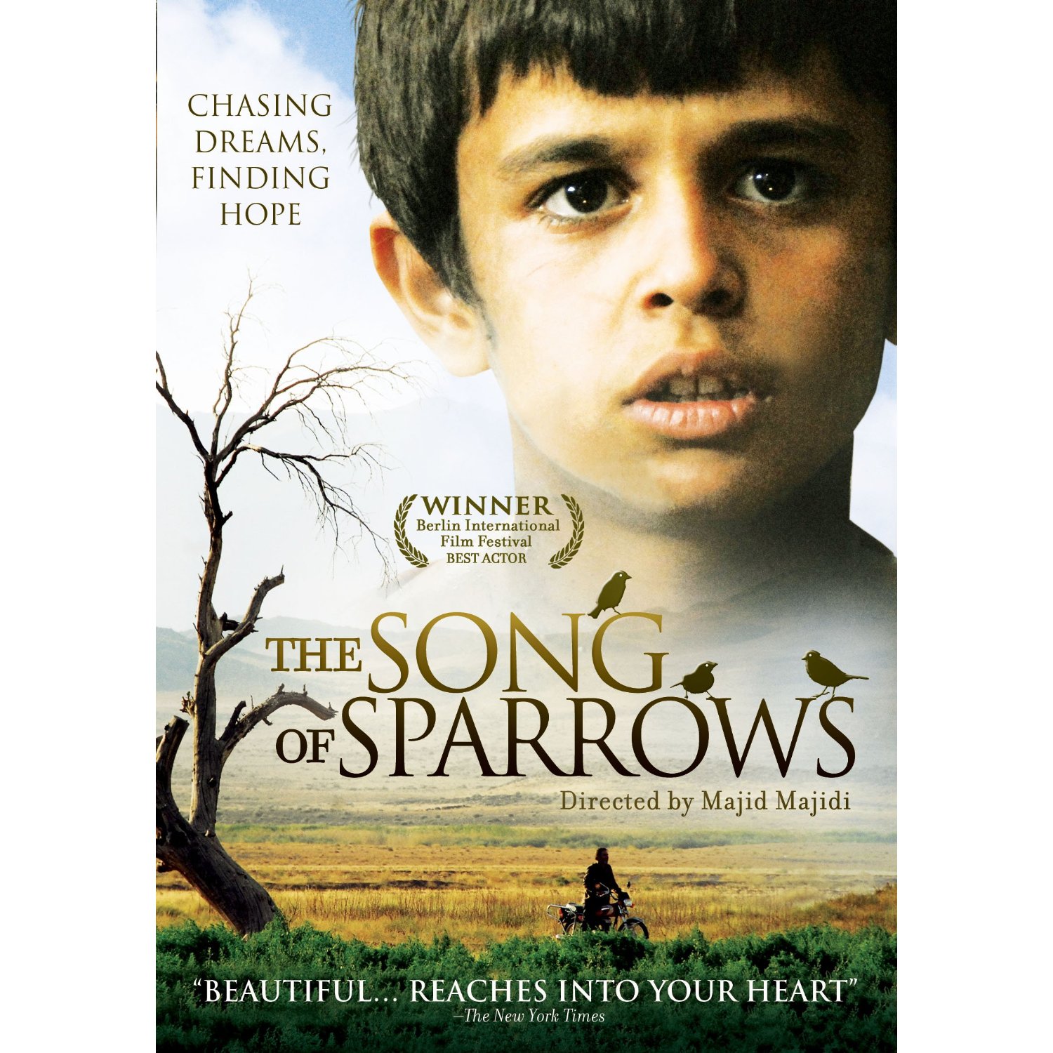 the song of sparrows review