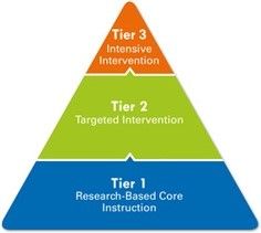 tier 1 model management reviews