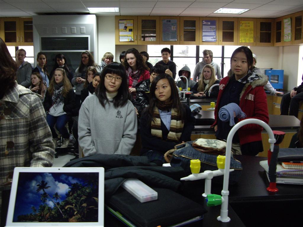 shanghai community international school reviews