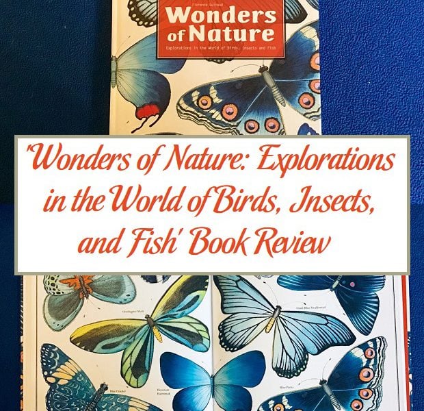 the wonder of birds review